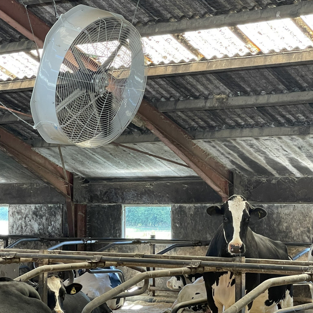 Ventilators Boreal Flow 55